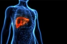 Prévention : savoir identifier les maladies du foie avant qu'il ne soit trop tard