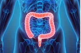 Cancer du colorectal : la mortalité baisse