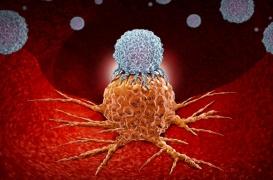 Qu'est-ce que l'immunothérapie, le traitement suivi par Bernard Tapie ?