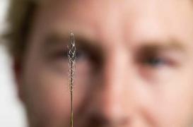 Paraplégie : un implant cérébral pour contrôler les objets à distance