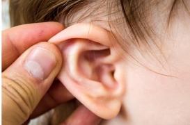 Première greffe mondiale réalisée grâce à des os de l’oreille moyenne imprimés en 3D