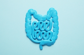 Les probiotiques morts réduisent les fuites intestinales liées à l'âge