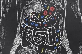 La greffe fécale, prometteuse dans la lutte contre l’antibiorésistance 