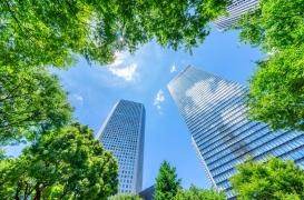 Mort précoce : planter des arbres en ville réduit les risques d’un tiers