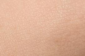 Votre peau : comment ses cellules immunitaires manoeuvrent pour vous protéger des infections