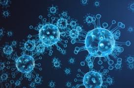 Comment notre système immunitaire a évolué pour nous rendre plus vulnérables à certaines maladies 