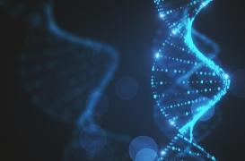 Découverte d’un lien génétique entre le trouble bipolaire et l’épilepsie