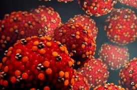 Rougeole : l'OMS alerte sur la hausse des cas partout dans le monde 