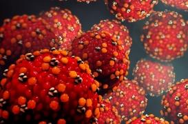 Rougeole : les cas ont bondi de 300% dans le monde début 2019