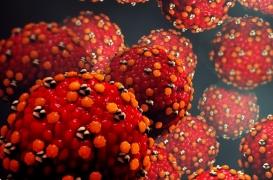 Coronavirus : virus, microbes, bactéries... quelles différences ? 