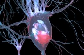 Mort de Catherine Laborde : qu’est-ce que la maladie à corps de Lewy ?