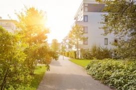 Grandir près de zones vertes améliore le QI et rend plus calme