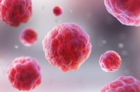 Maladies rares : une nouvelle voie thérapeutique pour traiter le syndrome d’Olmsted