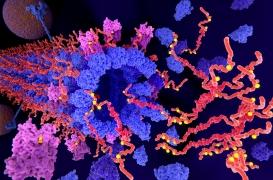 Alzheimer : il existe 4 sous-types distincts de la maladie