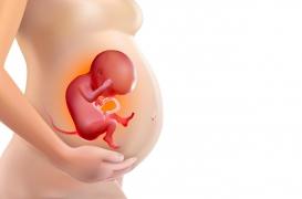 Bonbons, dentifrices : ce colorant alimentaire atteint le fœtus