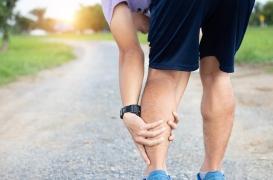 Les rythmes circadiens affectent la réparation musculaire