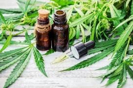 Maladie de Crohn : de l’huile de cannabis pour soulager ses symptômes