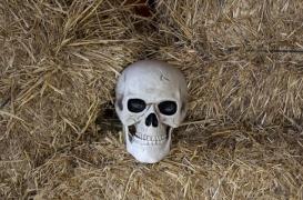 Comment notre cerveau nous empêche de concevoir notre mort mais pas celle des autres 