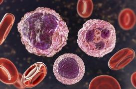 Coronavirus : les défenses immunitaires des patients diminuent fortement