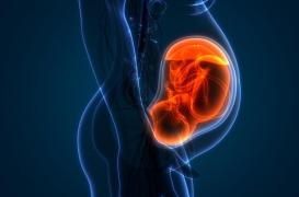 Covid-19 : le virus peut se transmettre par l’utérus