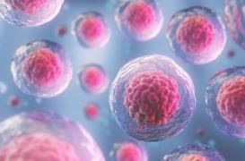 Vieillissement : et si vous pouviez gagner un an et demi sur votre horloge biologique ?