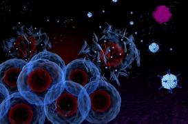 Virus “tueur de cancer” : un essai clinique lancé sur un patient