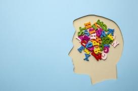 Et si votre vocabulaire influençait votre espérance de vie ?