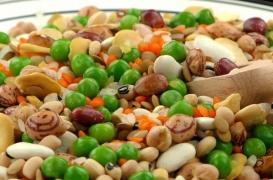 500 personnalités appellent à arrêter la viande et le poisson tous les lundis 