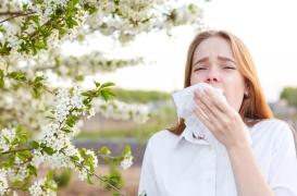 Allergies aux pollens : voici les bons réflexes à adopter