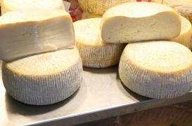 Salmonellose : rappel de produits à base de lait de brebis 