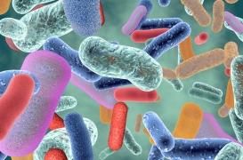 Diabète de type 2 : l’analyse du microbiote peut prédire le risque 