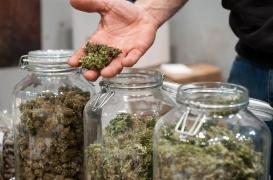 Légalisation du cannabis : le débat relancé sur fond d'échec de la lutte contre le trafic