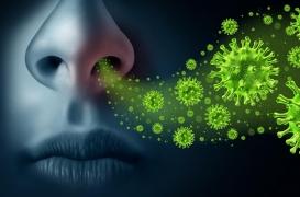 Maladies respiratoires : voyage dans les confins du microbiote nasal