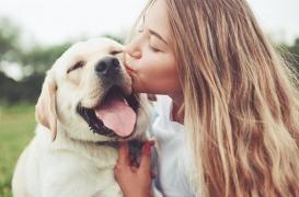 Coronavirus : les animaux de compagnie pas concernés mais pas sans risque