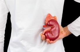 Donner son rein de son vivant : une campagne pour informer et sensibiliser