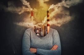 Changement climatique : quels sont les risques sur la santé de notre cerveau ?
