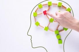 Les souvenirs, une affaire d’acides gras 