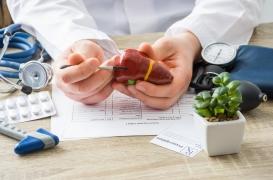 Foie gras : une nouvelle piste pour expliquer la maladie 