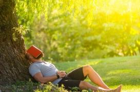 La sieste améliorerait l’agilité mentale et pourrait limiter le déclin cognitif