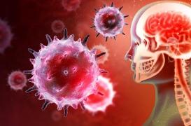 Cerveau : comment des bactéries peuvent l'empêcher de se défendre