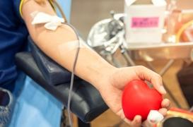 Don du sang : la suppression de la période d'abstinence des homosexuels inquiète les associations