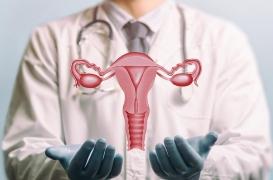 Cancer de l'endomètre : le microbiote vaginal serait un bon indicateur lors du dépistage