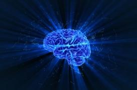 On en sait plus sur la façon dont le cerveau stocke les souvenirs