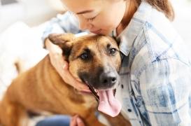 Votre chien est capable de déterminer si vous êtes stressé
