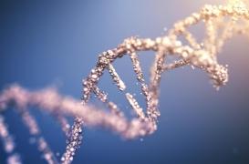 Thérapie génique : une petite fille traitée dans une étude clinique décède aux États-Unis 