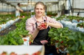 Confinement : doit-on craindre une pénurie de fruits et légumes ?