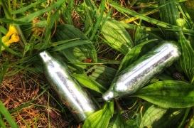 Gaz hilarant : l'Anses s'alarme des conséquences du protoxyde d'azote sur la santé