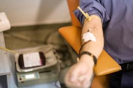 Don de moelle osseuse : pourquoi l’Agence de biomédecine veut principalement recruter des jeunes hommes ? 