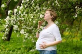 Odorat, le sens pauvre...