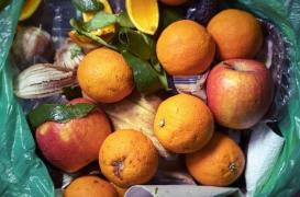 Alimentation : un “pacte” signé par 38 distributeurs pour limiter le gaspillage alimentaire